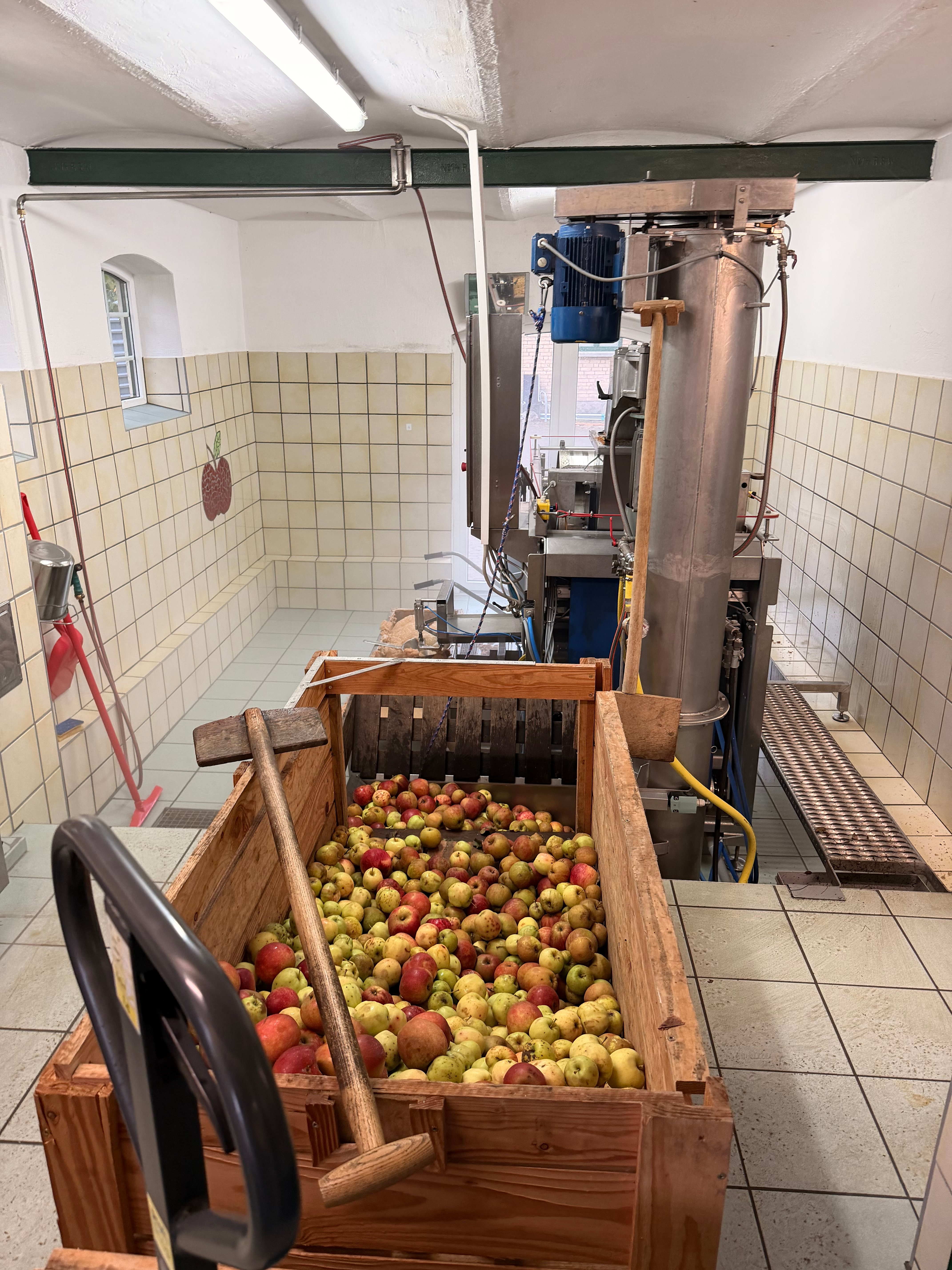 Apfelpresse in Aktion